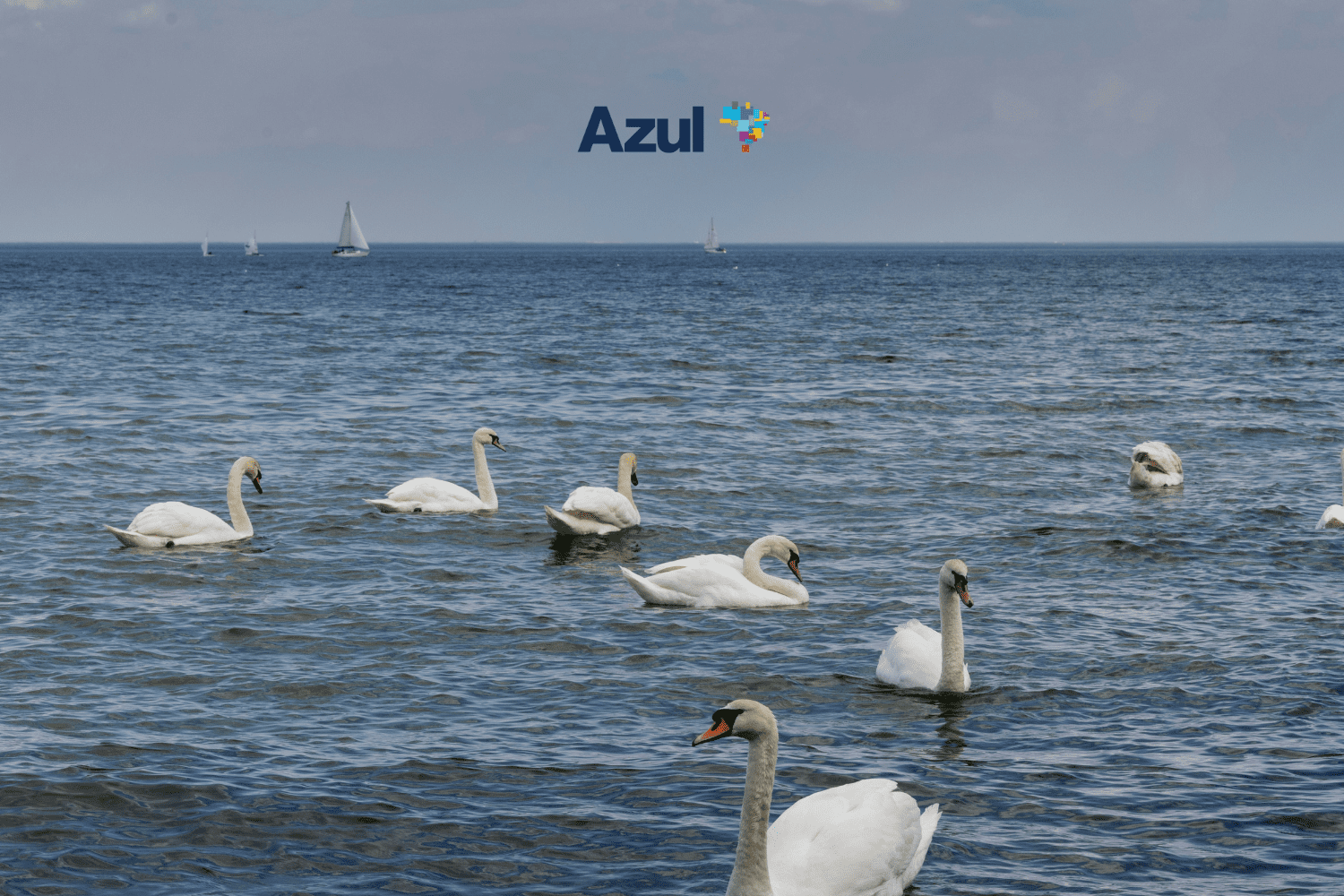 Clube azul