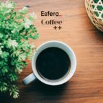 12 pontos esfera