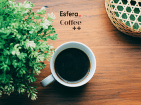 12 pontos esfera