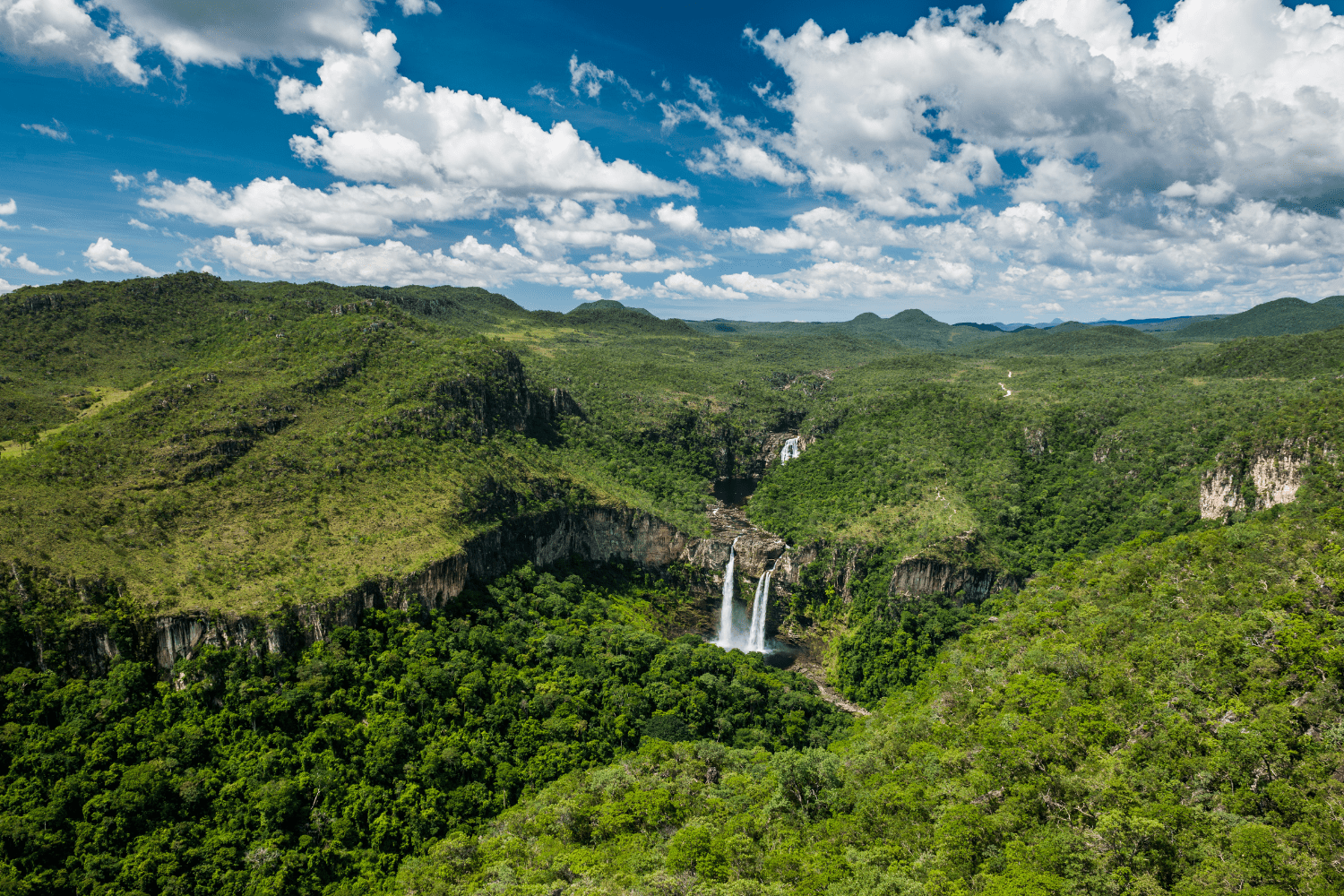 Conheça a Cachoeira dos Cristais na Chapada dos Veadeiros imagem: vitormarigo
