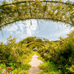Jardins de Monet - imagem RossHelen