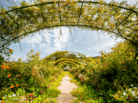 Jardins de Monet - imagem RossHelen