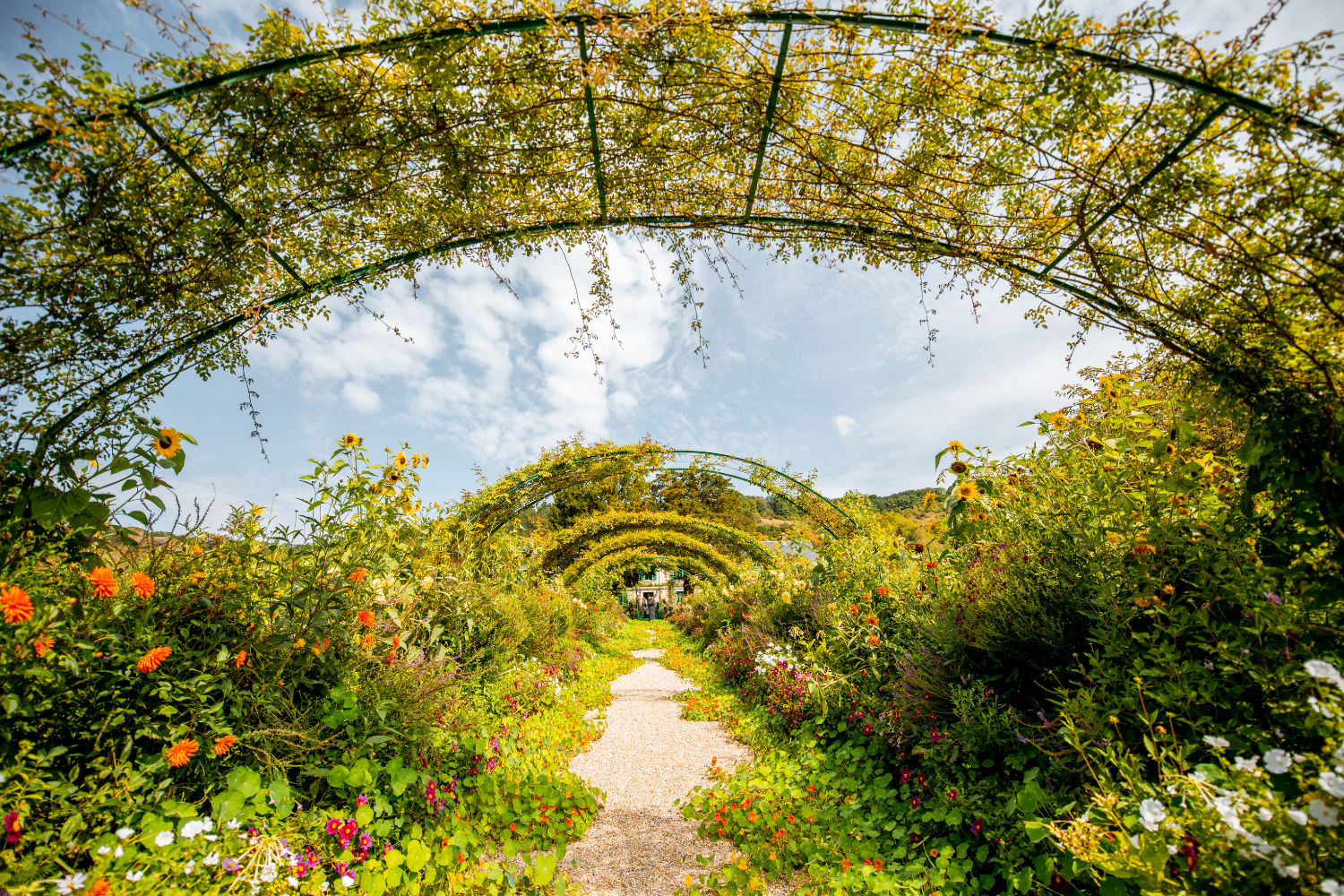 Jardins de Monet - imagem RossHelen
