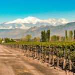 O que fazer em mendoza - imagem holgs