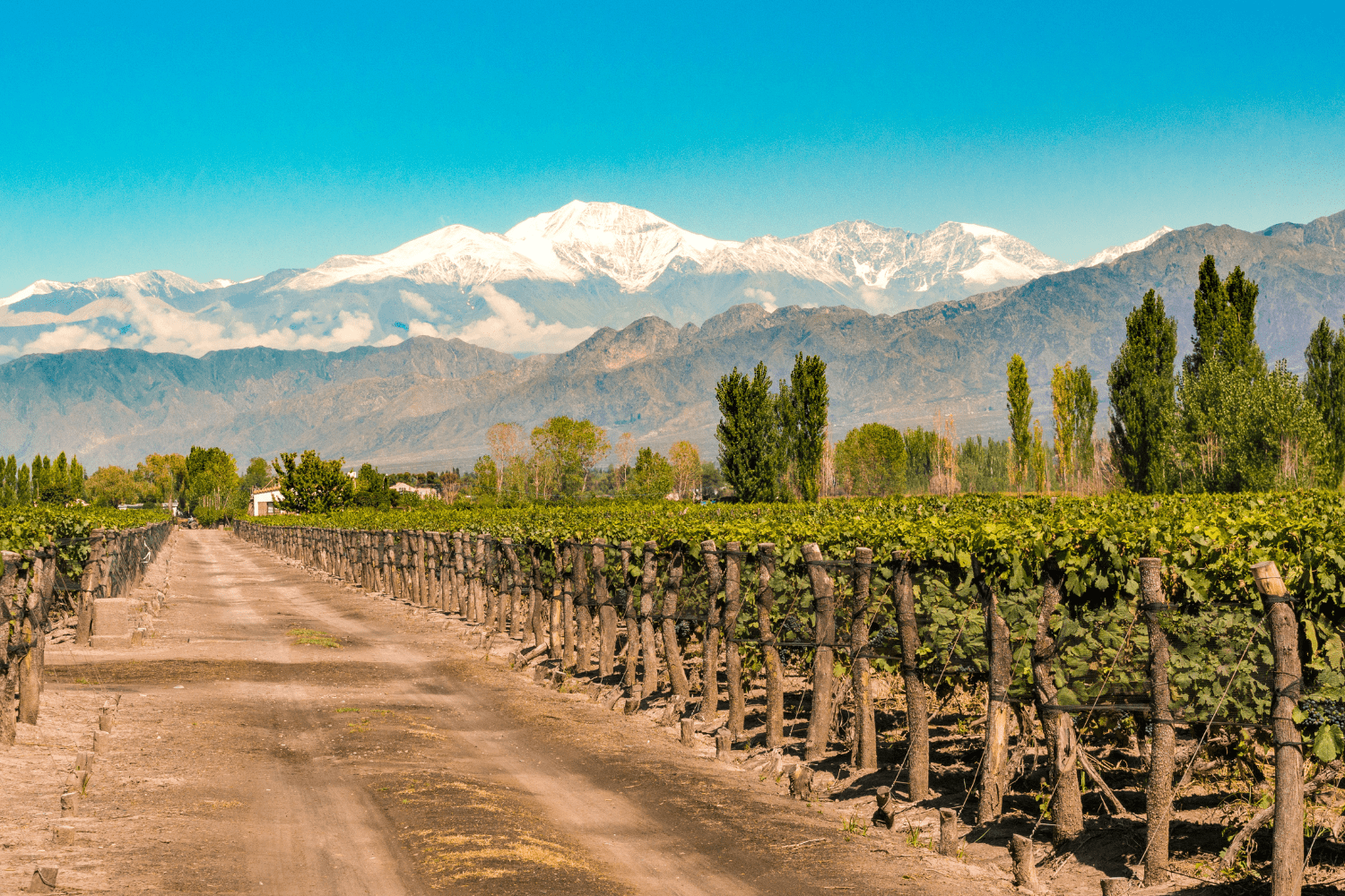 O que fazer em mendoza - imagem holgs