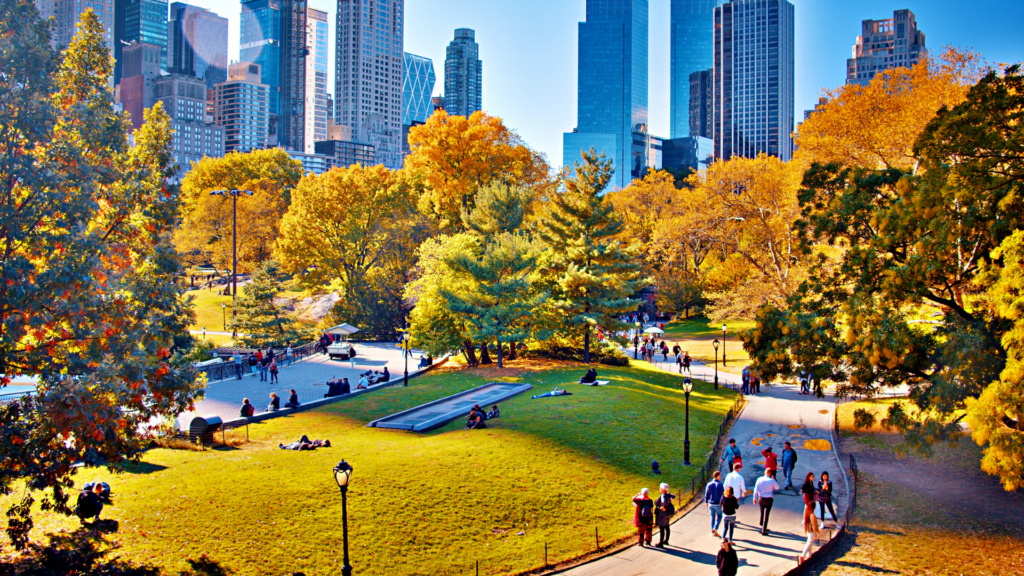 O qu efazer em Nova York - imagem: thisnight