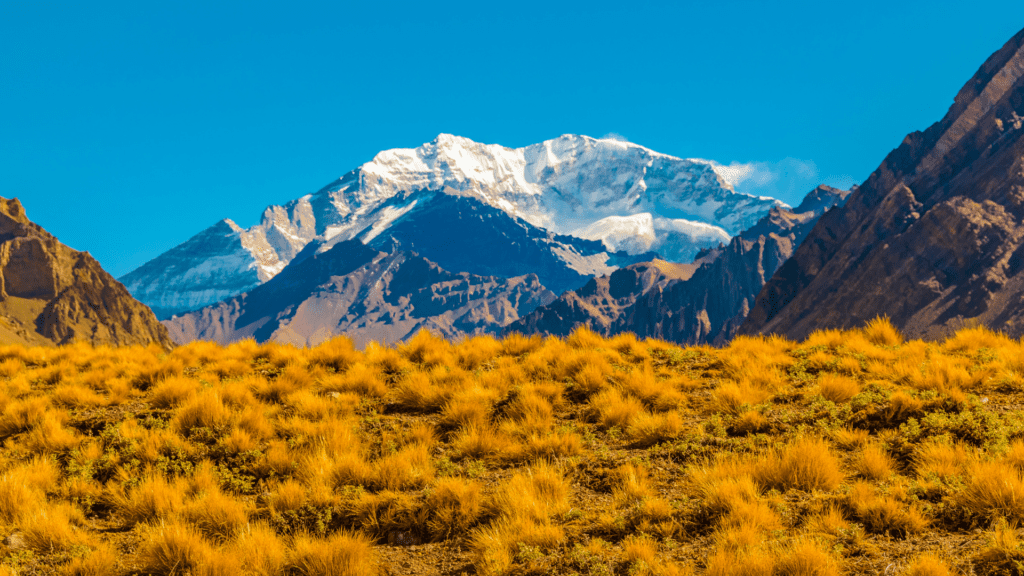 o que fazer em mendoza - imagem DanFLCreativo