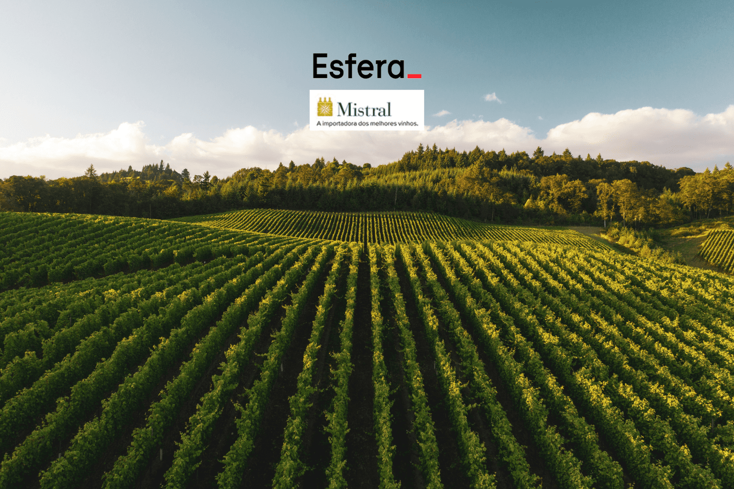 10 pontos esfera