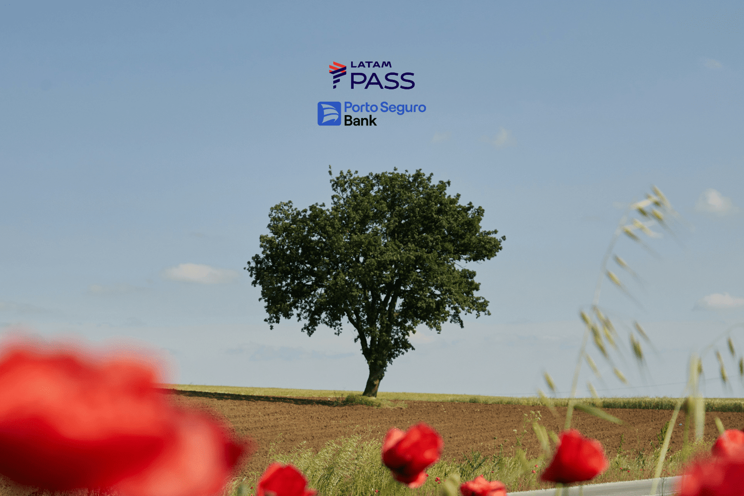 bônus latam pass