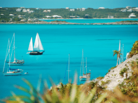 Onde fica e como chegar nas Bahamas - imagem Wildroze