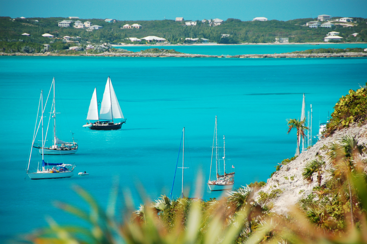 Onde fica e como chegar nas Bahamas - imagem Wildroze