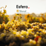 11 pontos esfera