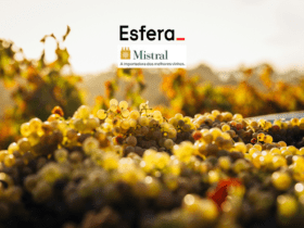 11 pontos esfera