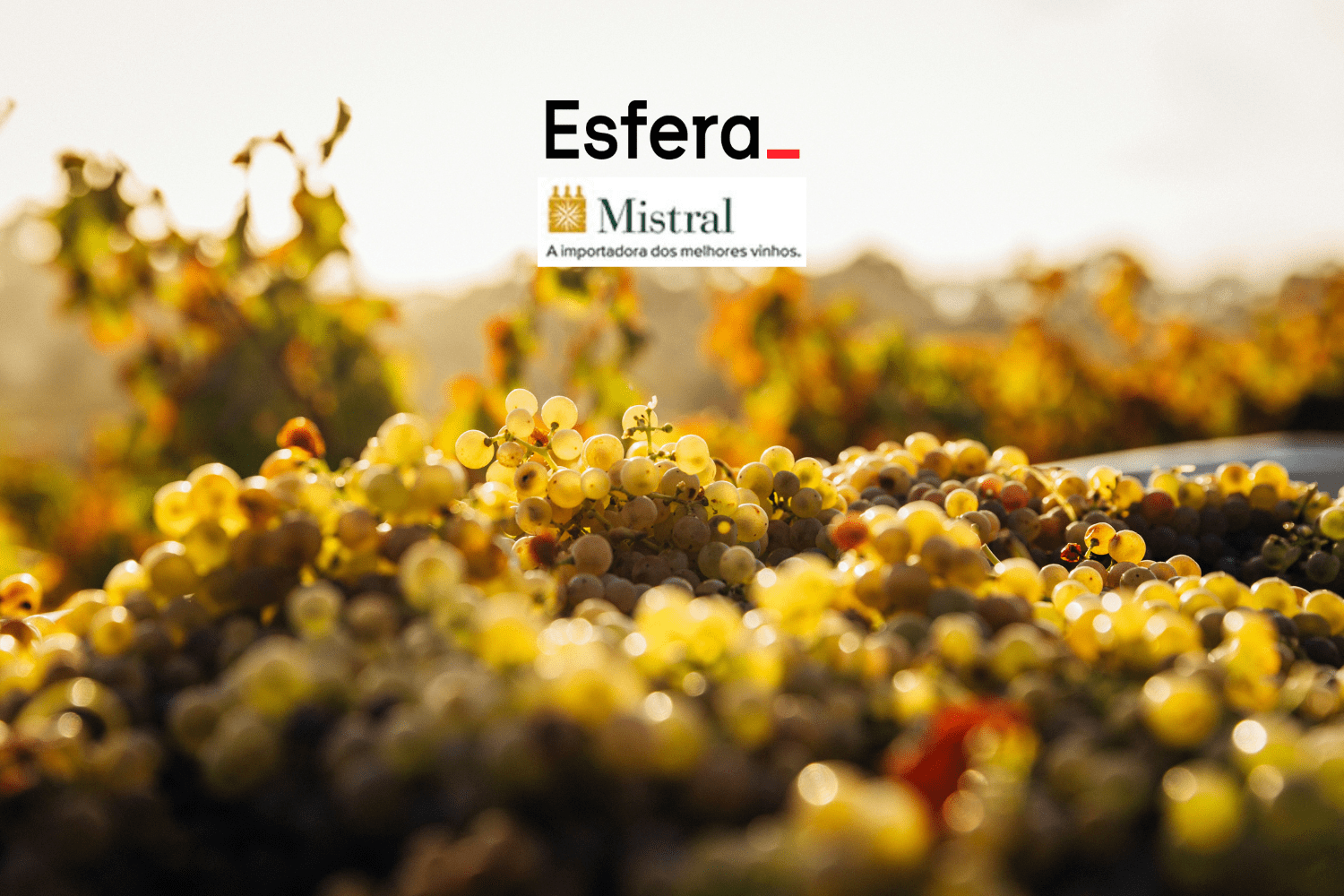 11 pontos esfera