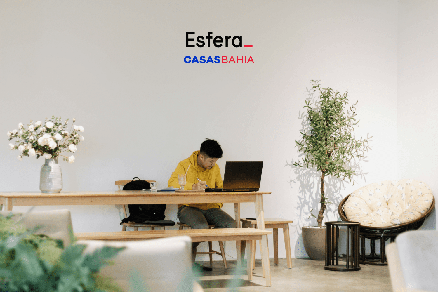 5 pontos esfera com casas bahia
