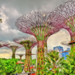 Gardens by the Bay - imagem @andronovl