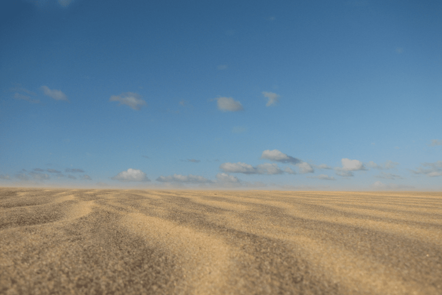parque das dunas - imagem gustavoferretti