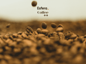 esfera e coffee++