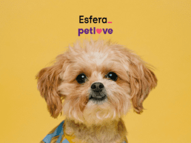 esfera e petlove