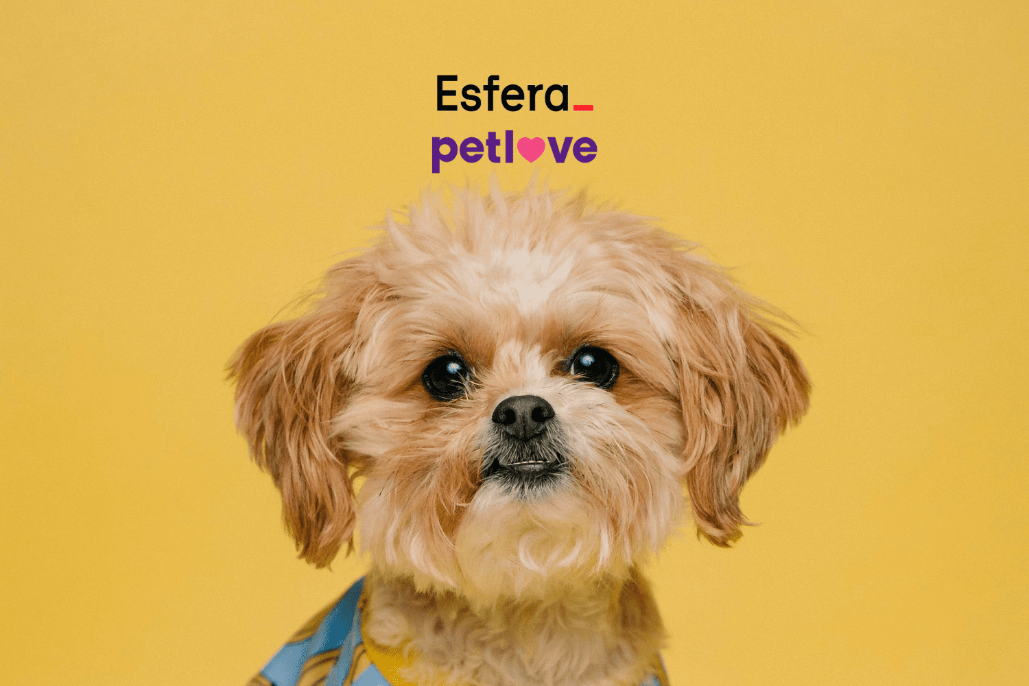 esfera e petlove
