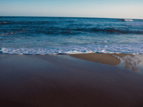 Conheça a Praia da Baleia em São SebastiãoSP - imagem dougbsantos