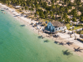 Onde fica Porto de Galinhas um guia completo - imagem Renato Santos
