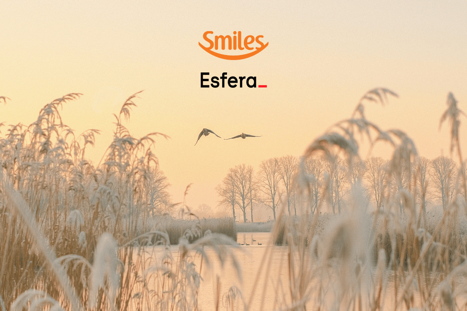 bônus smiles com esfera