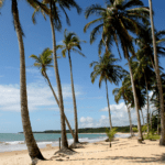 Porto Seguro - imagem por Joa_Souza