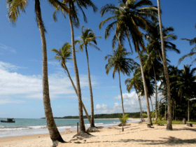 Porto Seguro - imagem por Joa_Souza