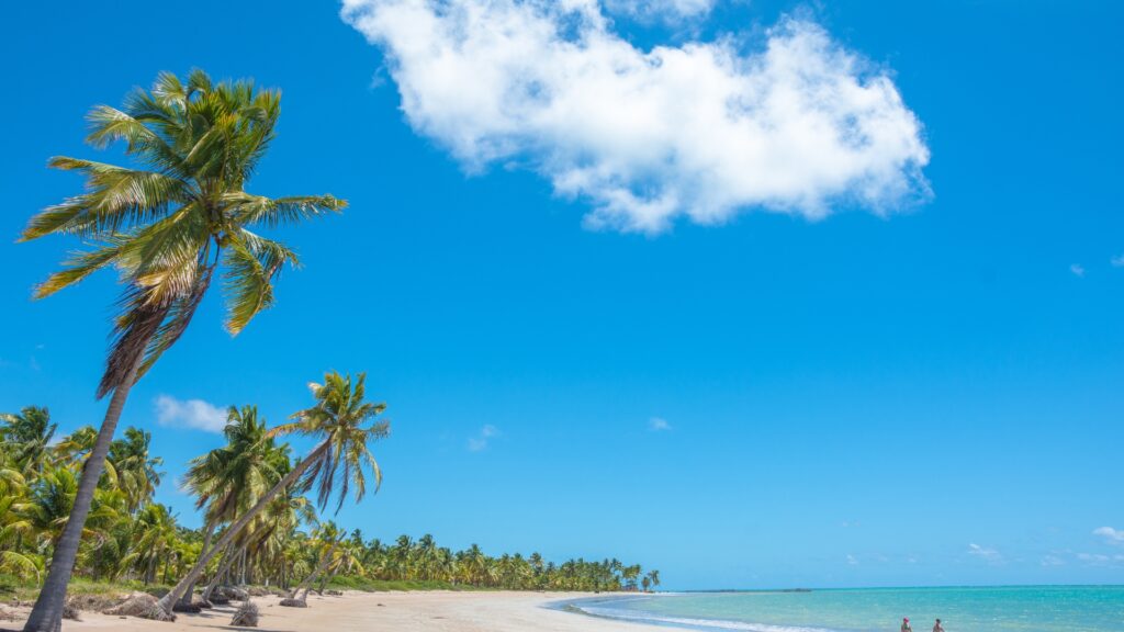 Melhores praias de Maceió - imagem por Bruno Cerqueira