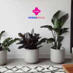 7 pontos livelo com casas bahia
