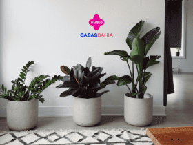 7 pontos livelo com casas bahia