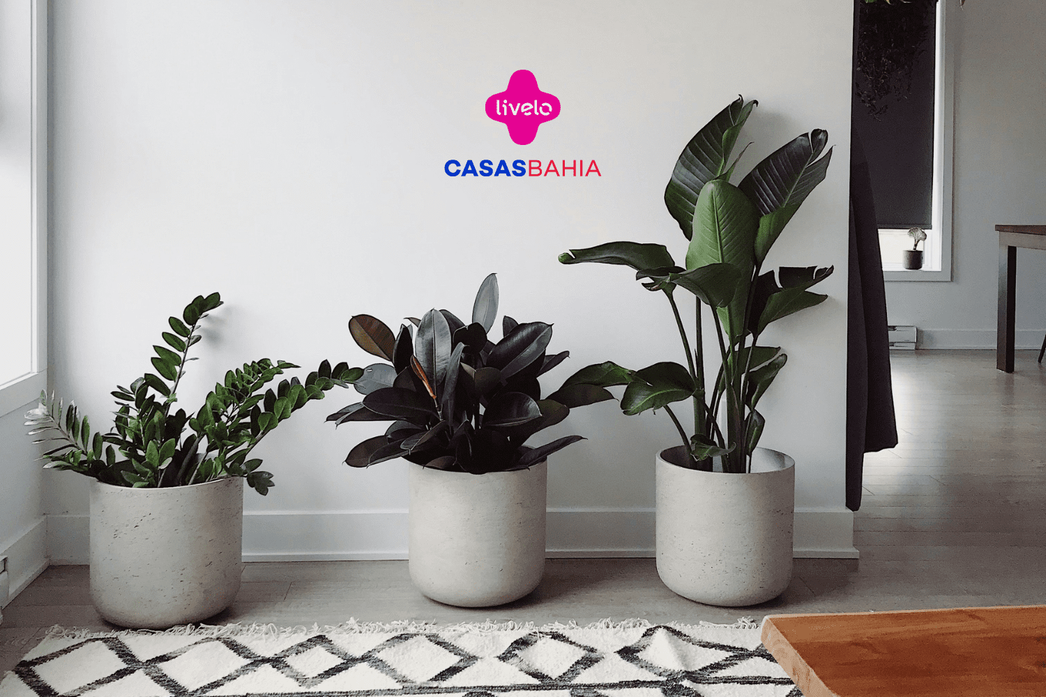7 pontos livelo com casas bahia