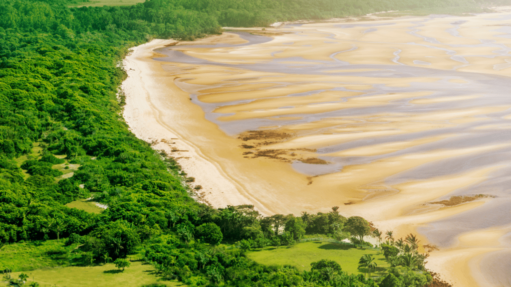  Ilha de Marajó - imagem por luoman