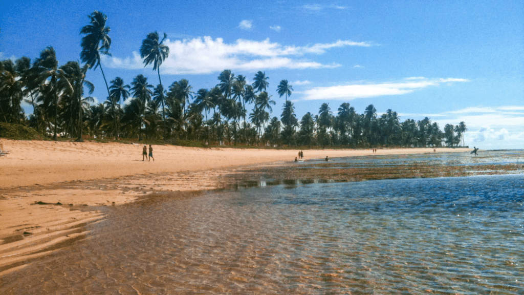  Praia do Forte - imagem por Aurore Kervoern to Santos