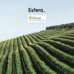 12 pontos esfera