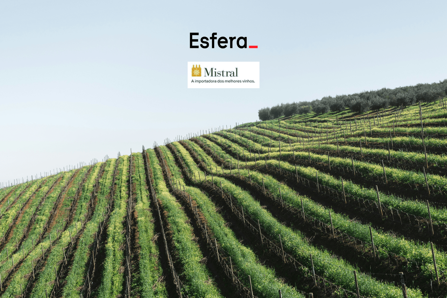 12 pontos esfera