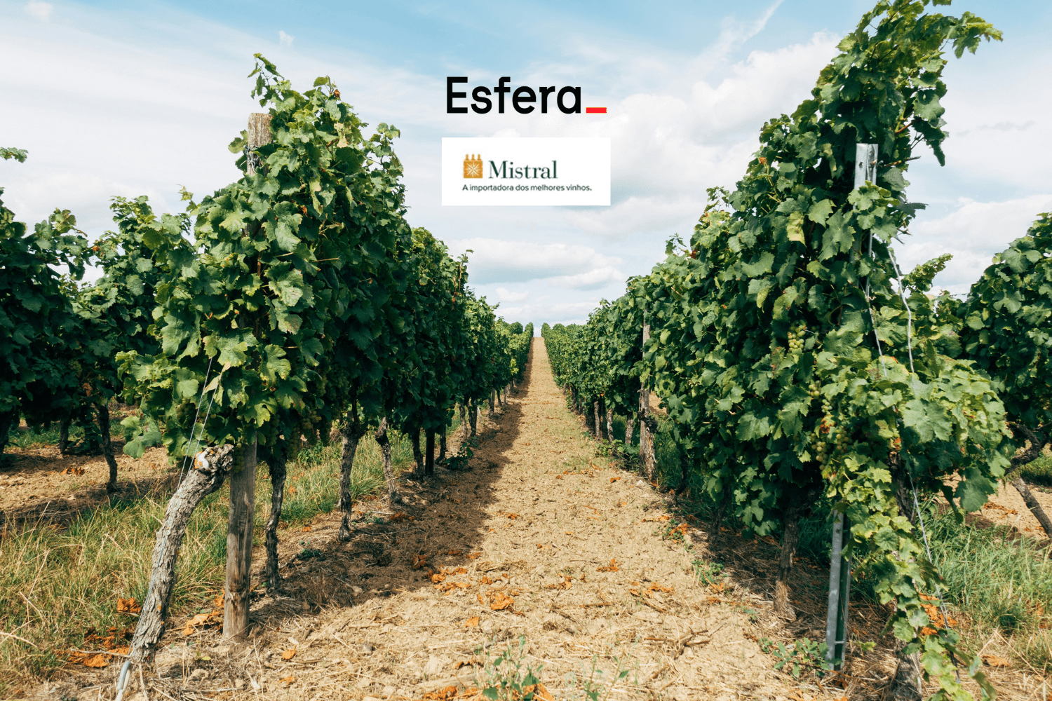 esfera e mistral