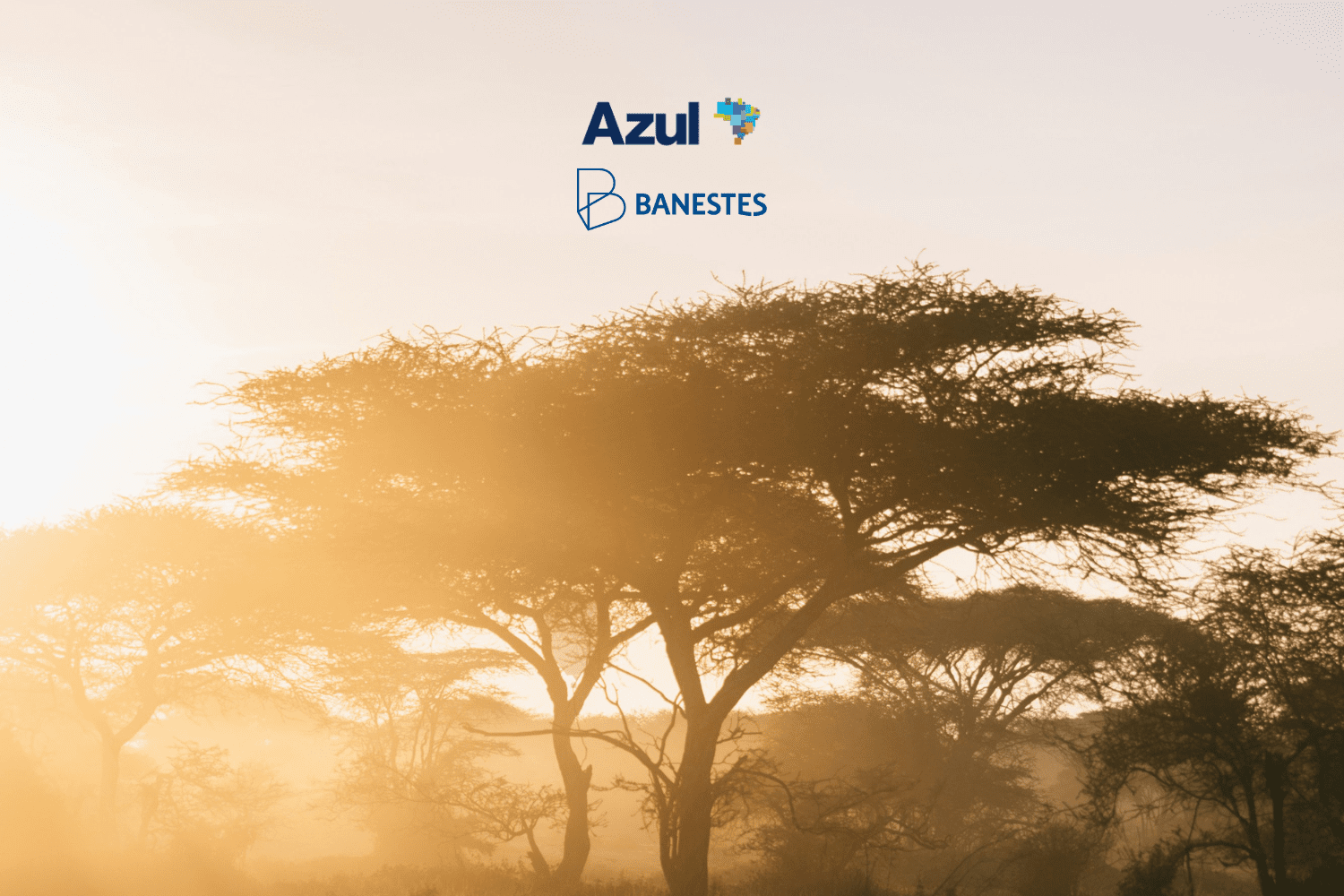 bônus azul