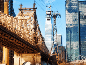 Roosevelt Island - imagem por sergeynovikova