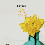 6 pontos esfera
