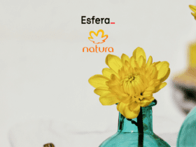6 pontos esfera
