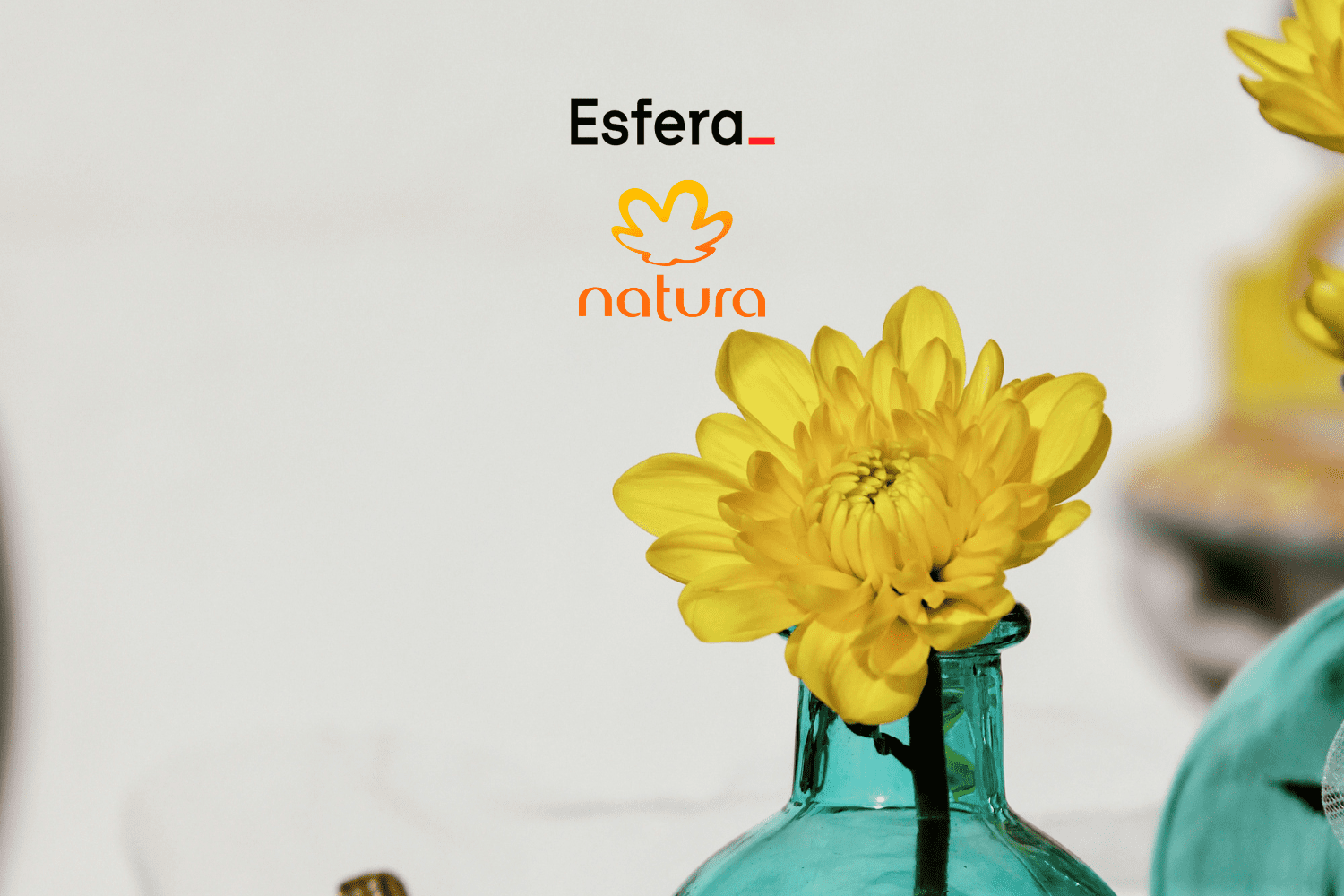 6 pontos esfera