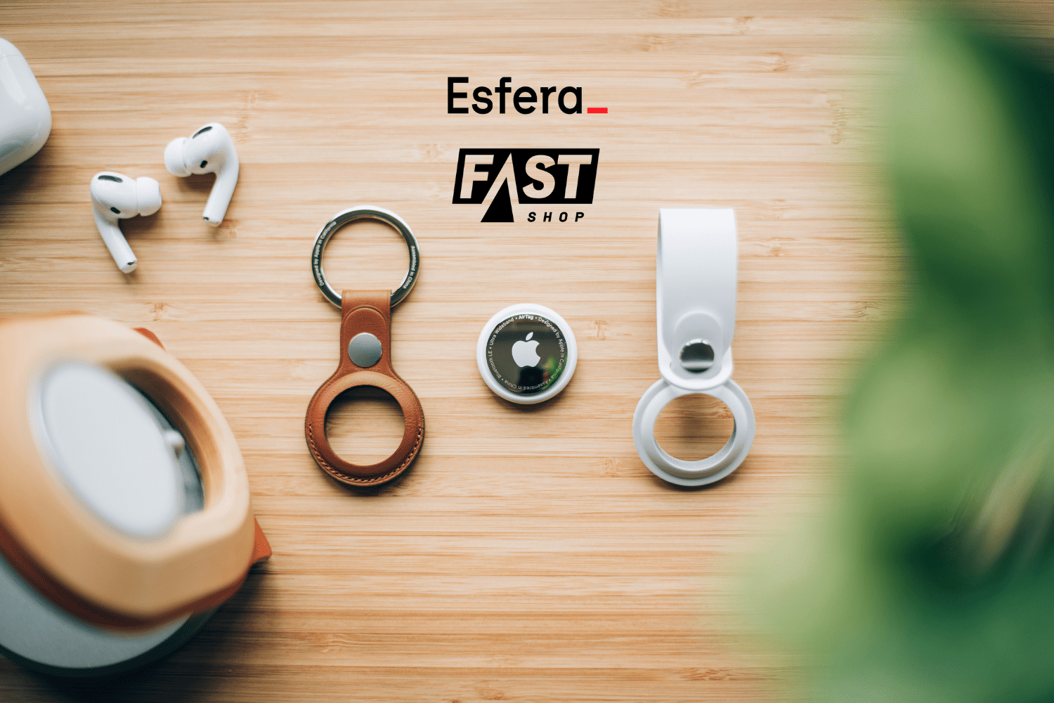 5 pontos esfera