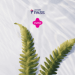 bônus latam pass com livelo
