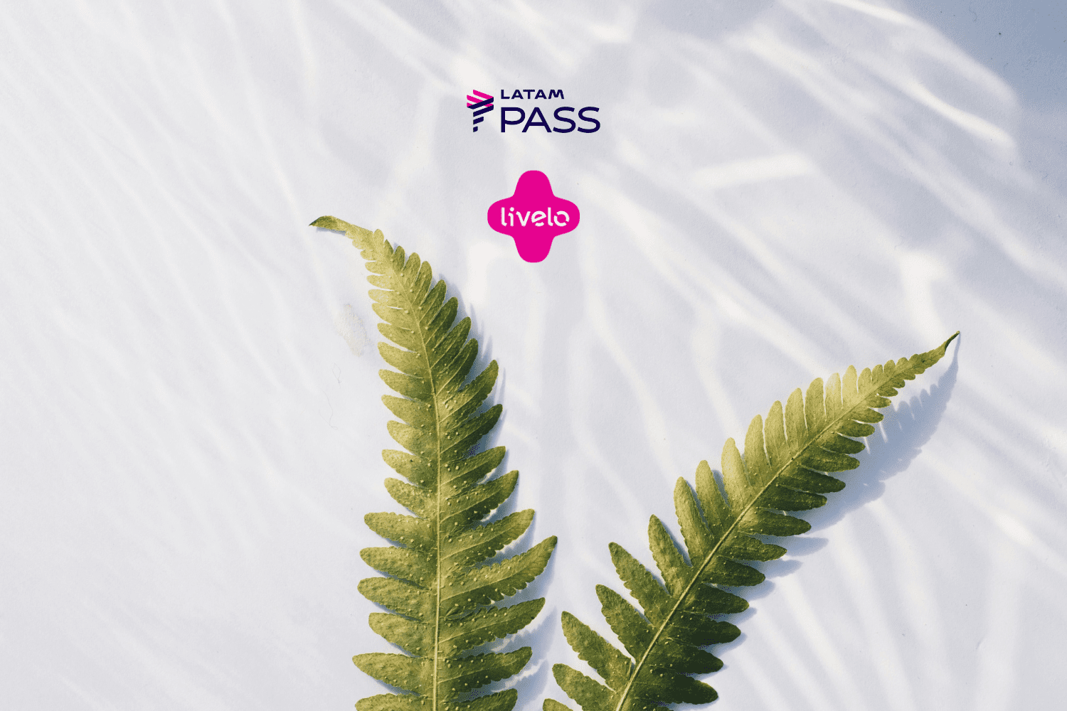 bônus latam pass com livelo