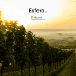 10 pontos esfera