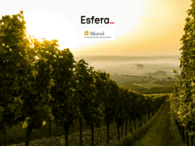 10 pontos esfera