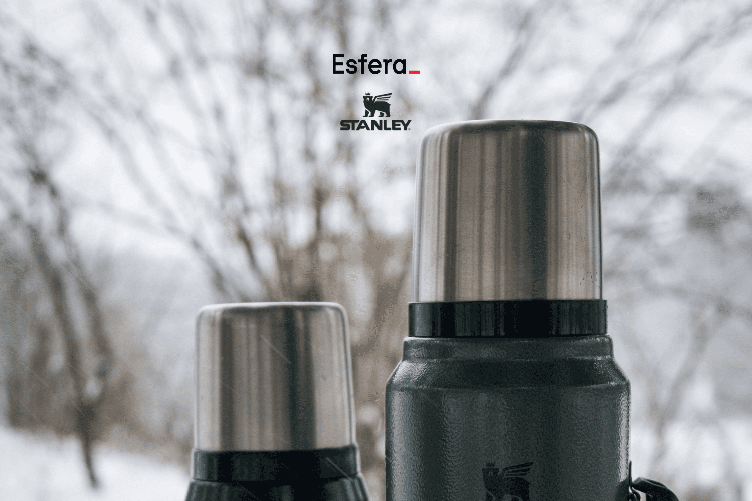 5 pontos esfera