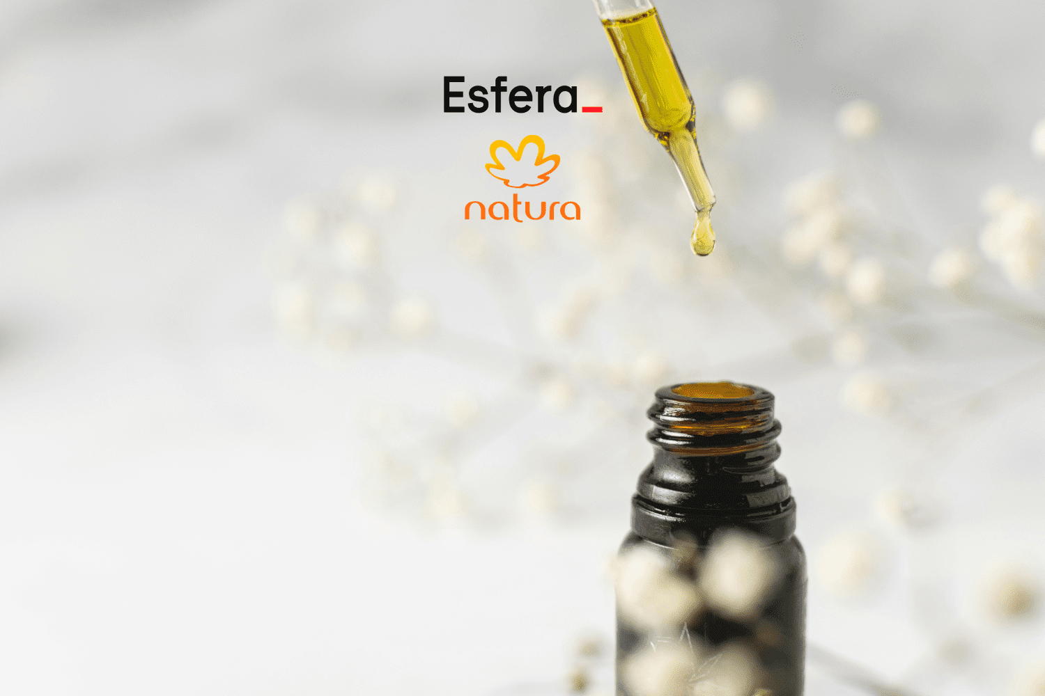 12 pontos esfera
